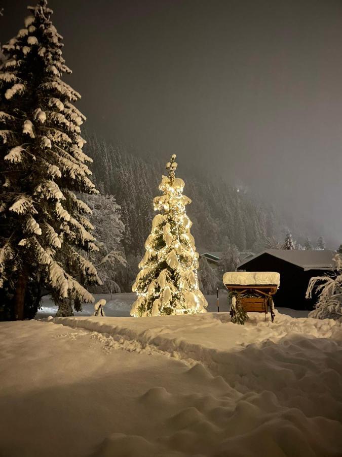 Apartment Haus Hubertus - Gaestehaus Sahler